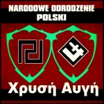 Golden Dawn for Greece, for Poland, for Europe